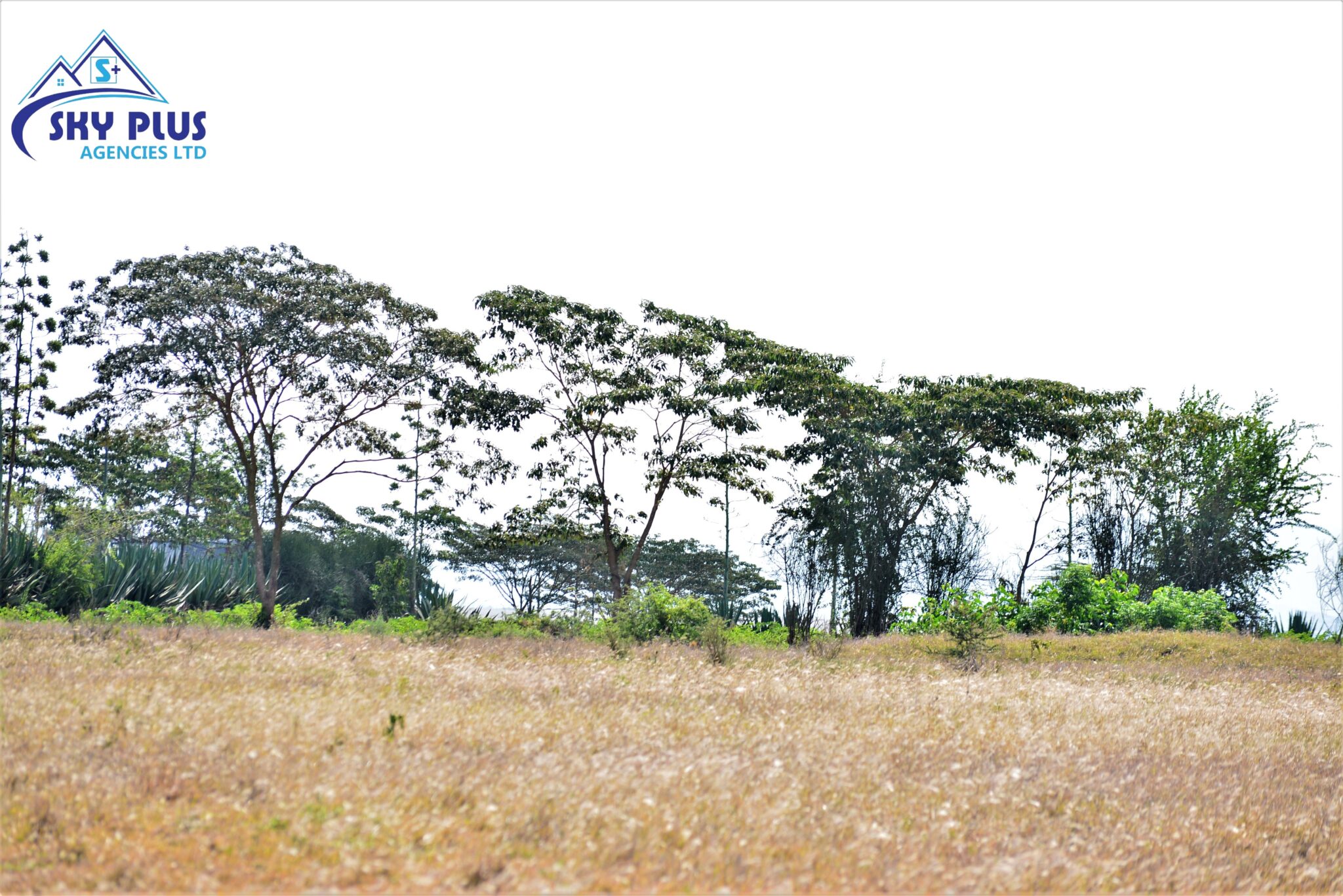 50 by 100 Plots FOR SALE at Kinanie, Athi River Skyplus Agencies