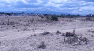 Five Acres of Land FOR SALE, Nanyuki