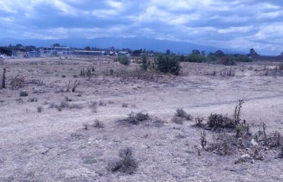 Five Acres of Land FOR SALE, Nanyuki