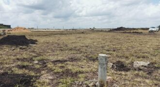 1/4 Acre Land FOR SALE, Viken Thirty, Eastern Bypass