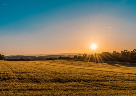 FAQs on LAND: How is land ownership classified in Kenya?