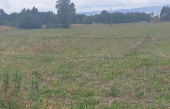 5 Acres FOR SALE at Ol-Kalou, Nyandarua County