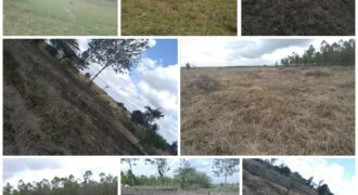 ¼ acre plots FOR SALE, Ongata Rongai