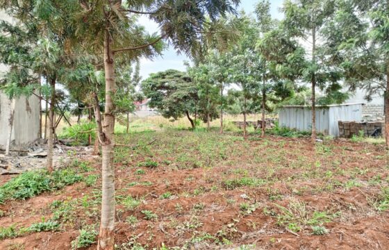 Plots FOR SALE at Croton Ridge, Kenyatta Road, Kiambu