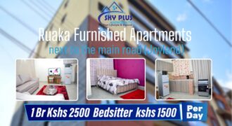 Furnished Apartments / Airbnb in Ruaka