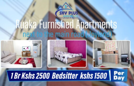 Furnished Apartments / Airbnb in Ruaka
