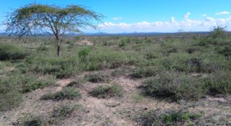 1 Acre FOR SALE in Konza; ready Title Deed