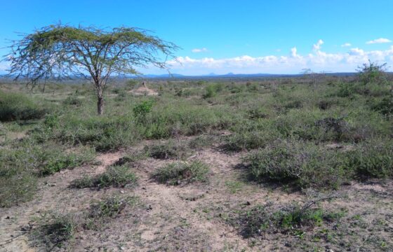 1 Acre FOR SALE in Konza; ready Title Deed