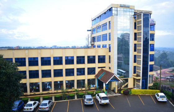 Letting/For Sale: Nyeri’s Towering Icon