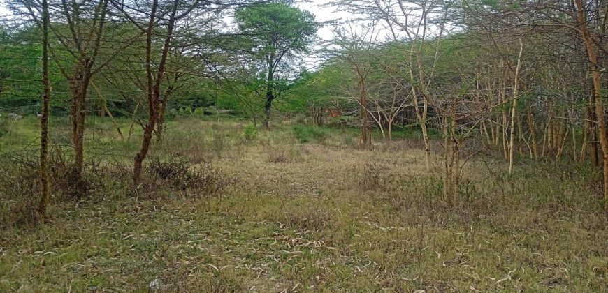 1 Acre For Sale, Rongai Nkoroi area