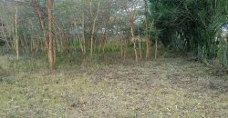 1 Acre For Sale, Rongai Nkoroi area