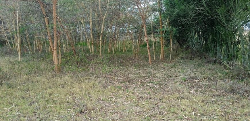 1 Acre For Sale, Rongai Nkoroi area