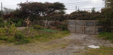 1/4 Acre For Sale, Rongai Sweet waters
