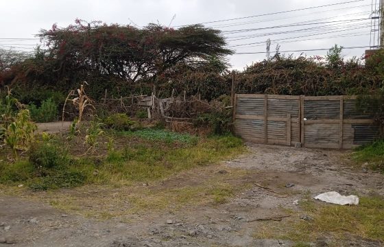 1/4 Acre For Sale, Rongai Sweet waters